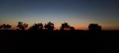 Прикрепленное изображение: море.jpg